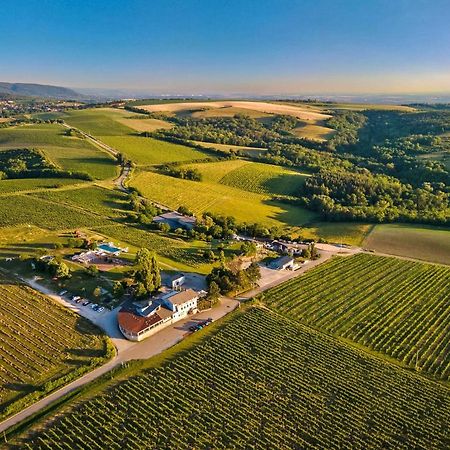 Отель Hilltop Borbirtok & Etterem Neszmely Экстерьер фото