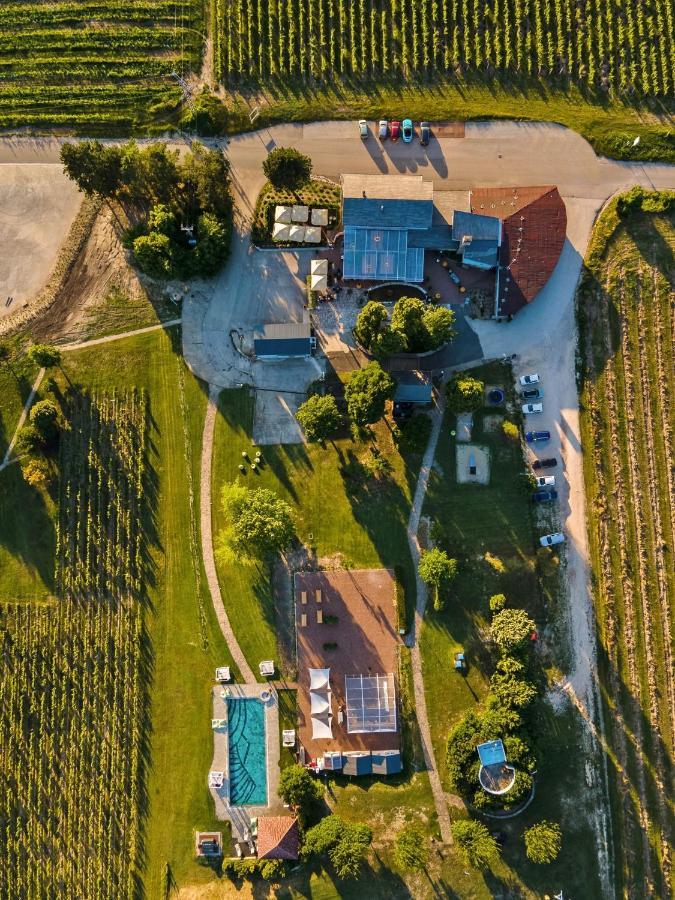 Отель Hilltop Borbirtok & Etterem Neszmely Экстерьер фото