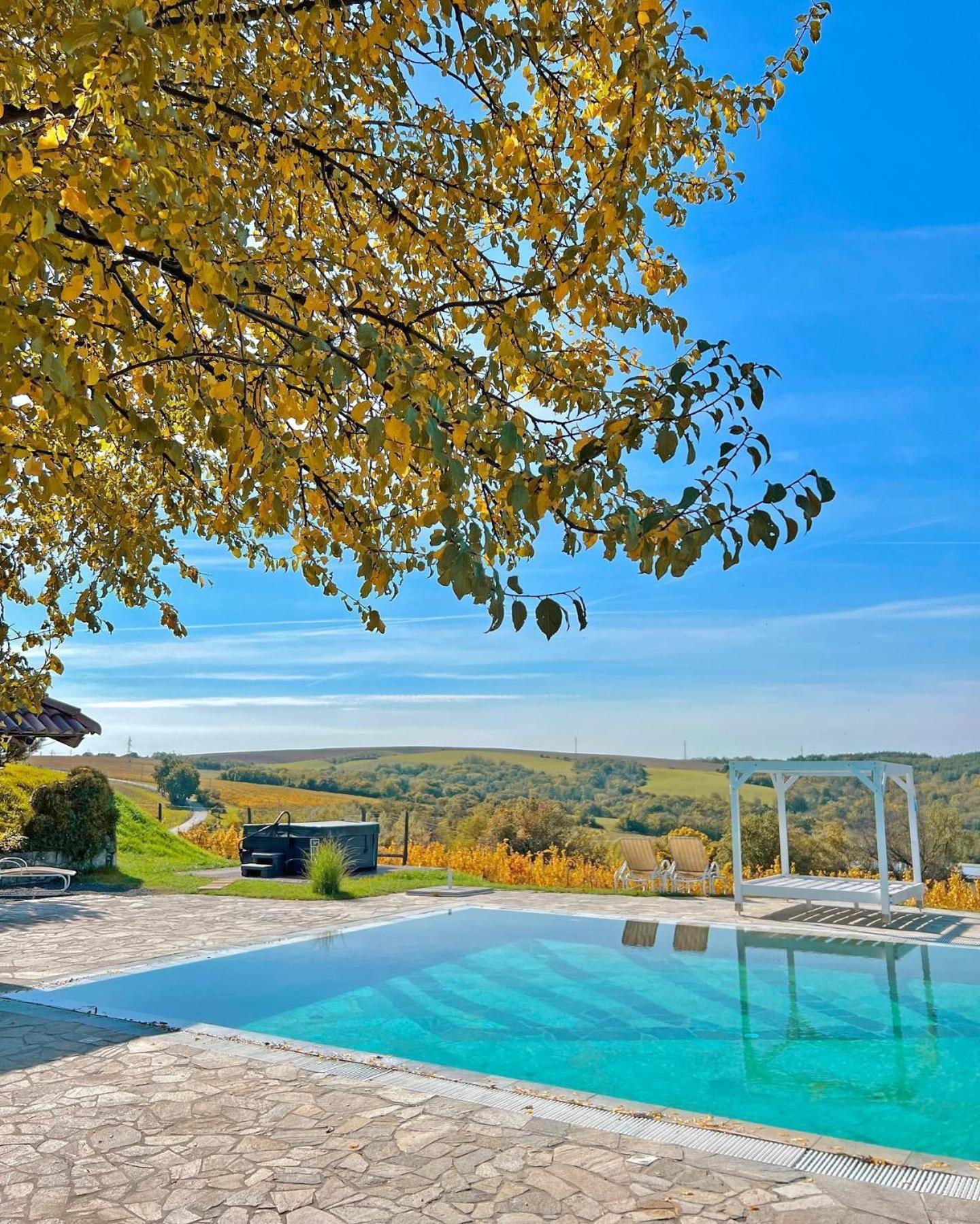 Отель Hilltop Borbirtok & Etterem Neszmely Экстерьер фото